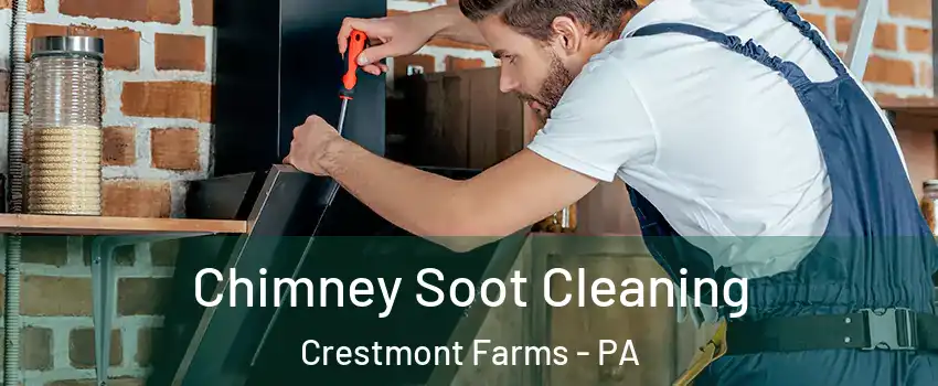 Chimney Soot Cleaning Crestmont Farms - PA