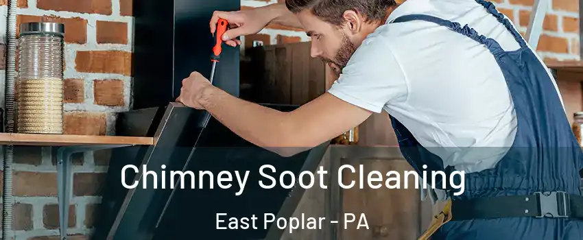 Chimney Soot Cleaning East Poplar - PA