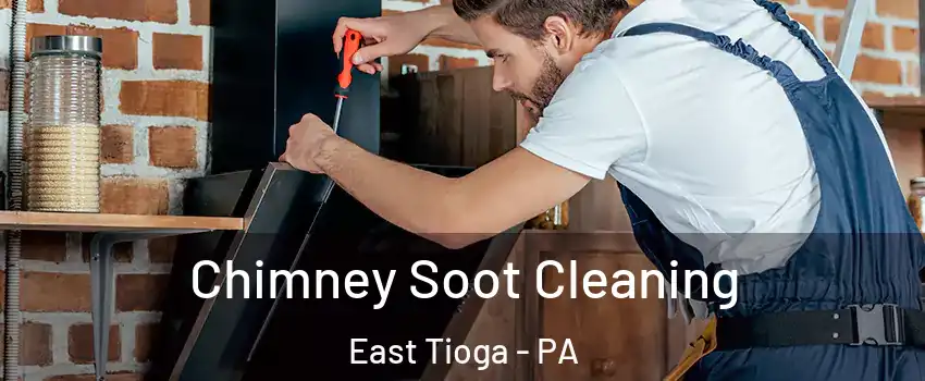 Chimney Soot Cleaning East Tioga - PA