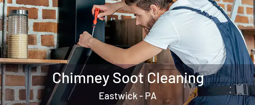Chimney Soot Cleaning Eastwick - PA