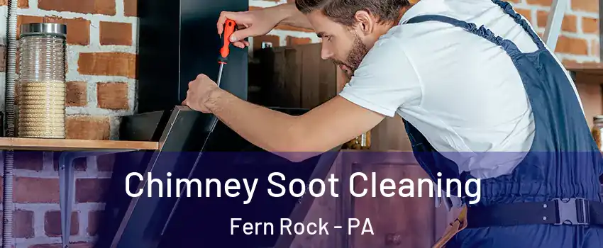 Chimney Soot Cleaning Fern Rock - PA