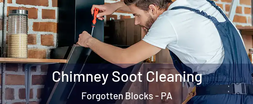 Chimney Soot Cleaning Forgotten Blocks - PA