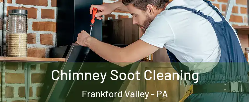 Chimney Soot Cleaning Frankford Valley - PA