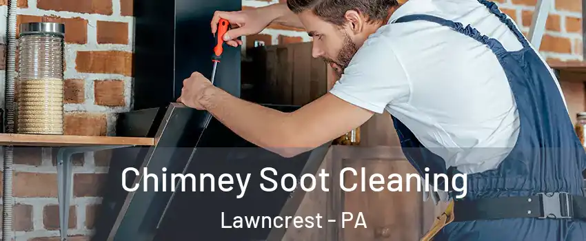 Chimney Soot Cleaning Lawncrest - PA