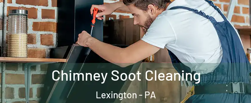 Chimney Soot Cleaning Lexington - PA