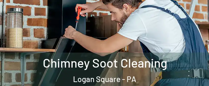 Chimney Soot Cleaning Logan Square - PA