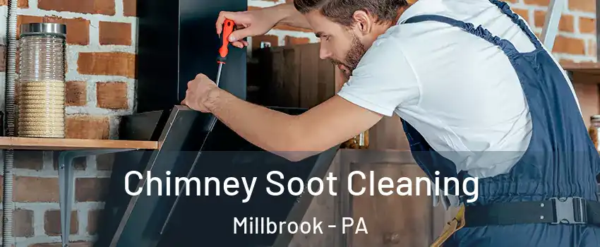 Chimney Soot Cleaning Millbrook - PA