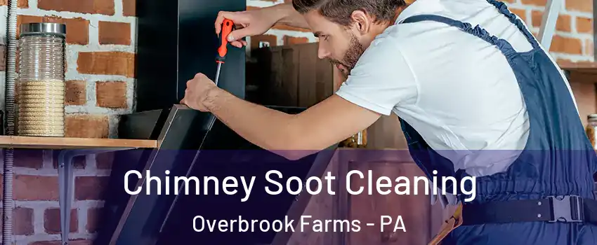 Chimney Soot Cleaning Overbrook Farms - PA
