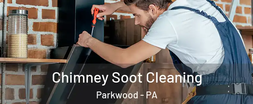 Chimney Soot Cleaning Parkwood - PA