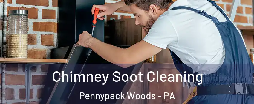 Chimney Soot Cleaning Pennypack Woods - PA