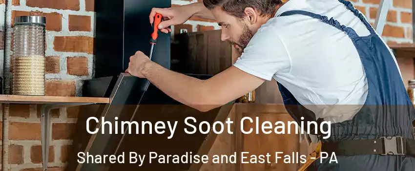 Chimney Soot Cleaning Shared By Paradise and East Falls - PA