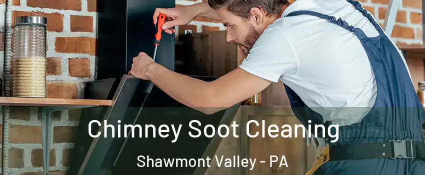 Chimney Soot Cleaning Shawmont Valley - PA