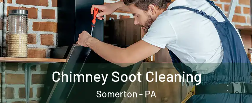 Chimney Soot Cleaning Somerton - PA