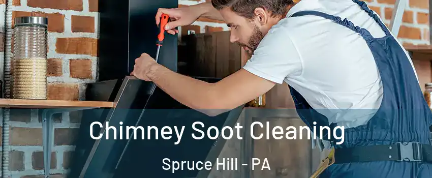 Chimney Soot Cleaning Spruce Hill - PA
