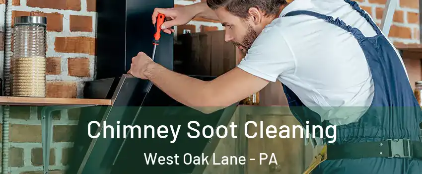 Chimney Soot Cleaning West Oak Lane - PA