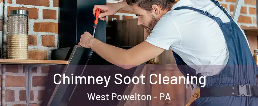 Chimney Soot Cleaning West Powelton - PA