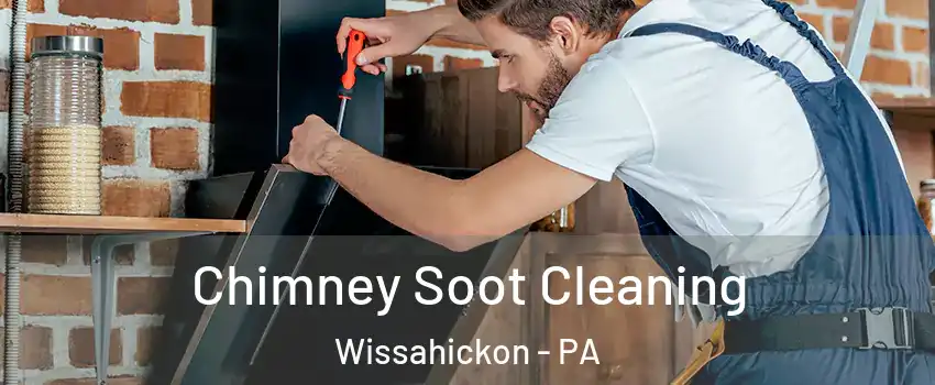 Chimney Soot Cleaning Wissahickon - PA