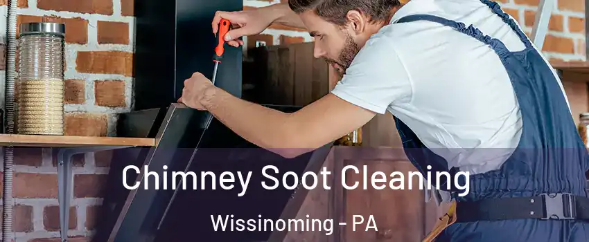 Chimney Soot Cleaning Wissinoming - PA
