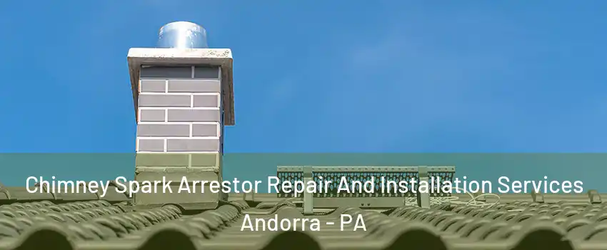 Chimney Spark Arrestor Repair And Installation Services Andorra - PA