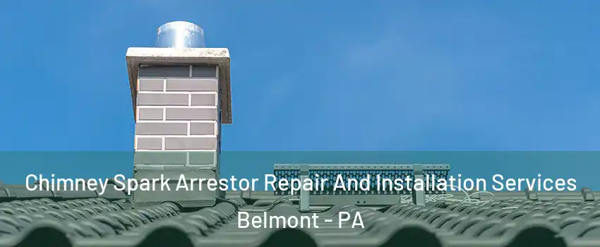 Chimney Spark Arrestor Repair And Installation Services Belmont - PA