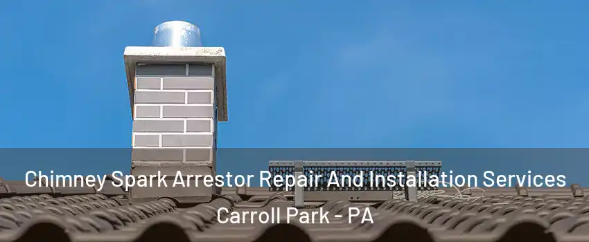 Chimney Spark Arrestor Repair And Installation Services Carroll Park - PA