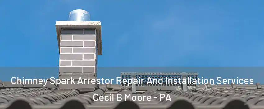 Chimney Spark Arrestor Repair And Installation Services Cecil B Moore - PA