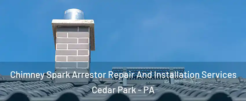 Chimney Spark Arrestor Repair And Installation Services Cedar Park - PA