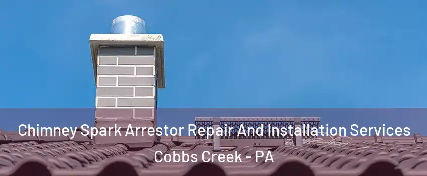 Chimney Spark Arrestor Repair And Installation Services Cobbs Creek - PA