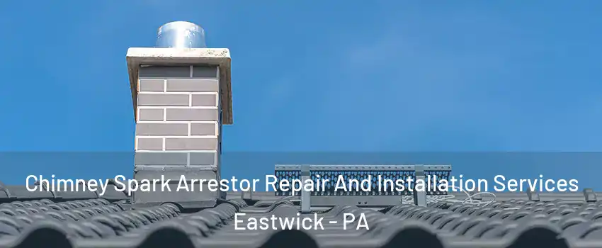 Chimney Spark Arrestor Repair And Installation Services Eastwick - PA