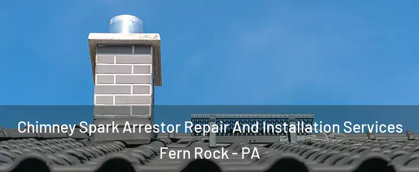 Chimney Spark Arrestor Repair And Installation Services Fern Rock - PA
