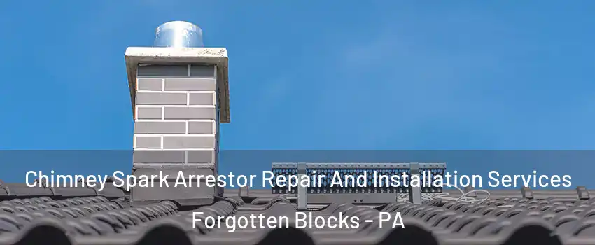 Chimney Spark Arrestor Repair And Installation Services Forgotten Blocks - PA