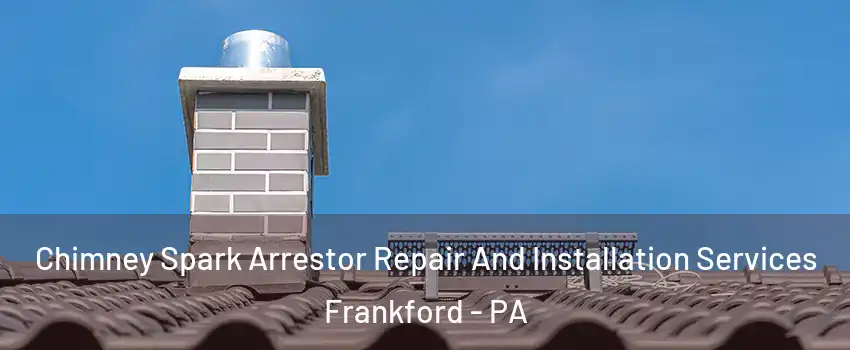 Chimney Spark Arrestor Repair And Installation Services Frankford - PA