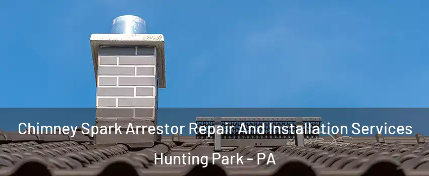 Chimney Spark Arrestor Repair And Installation Services Hunting Park - PA