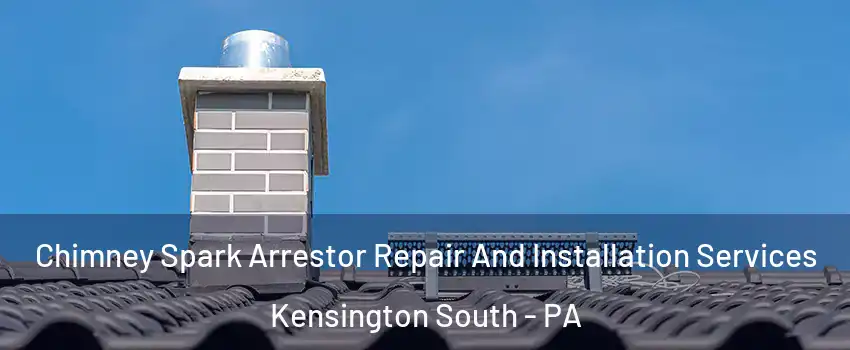 Chimney Spark Arrestor Repair And Installation Services Kensington South - PA