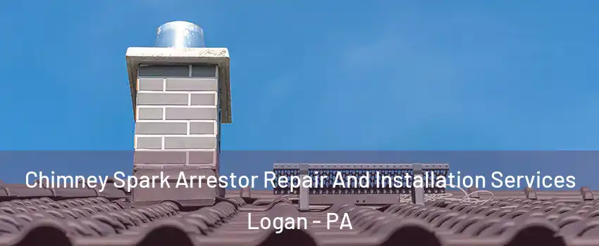 Chimney Spark Arrestor Repair And Installation Services Logan - PA