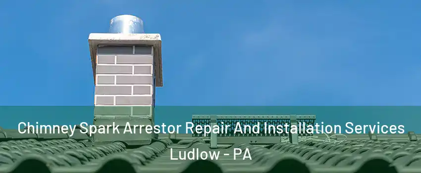Chimney Spark Arrestor Repair And Installation Services Ludlow - PA