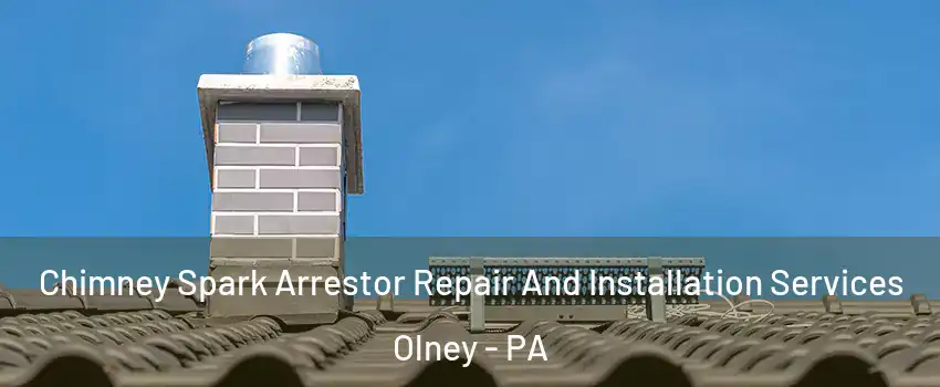 Chimney Spark Arrestor Repair And Installation Services Olney - PA