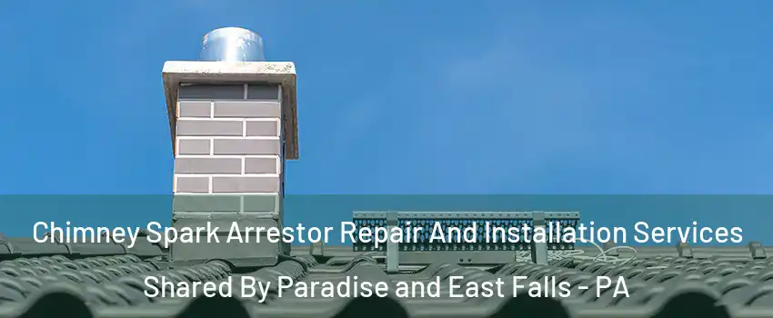 Chimney Spark Arrestor Repair And Installation Services Shared By Paradise and East Falls - PA
