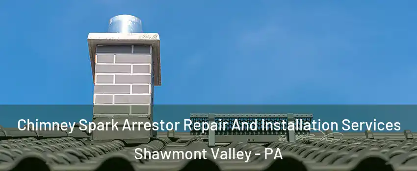 Chimney Spark Arrestor Repair And Installation Services Shawmont Valley - PA