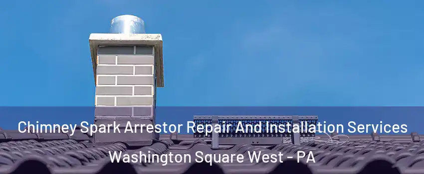 Chimney Spark Arrestor Repair And Installation Services Washington Square West - PA
