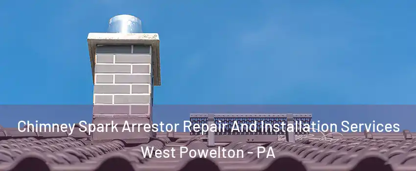 Chimney Spark Arrestor Repair And Installation Services West Powelton - PA