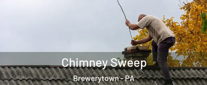 Chimney Sweep Brewerytown - PA