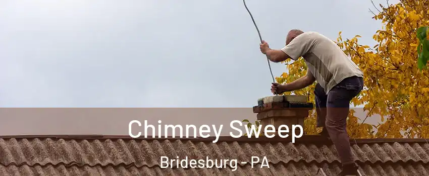 Chimney Sweep Bridesburg - PA