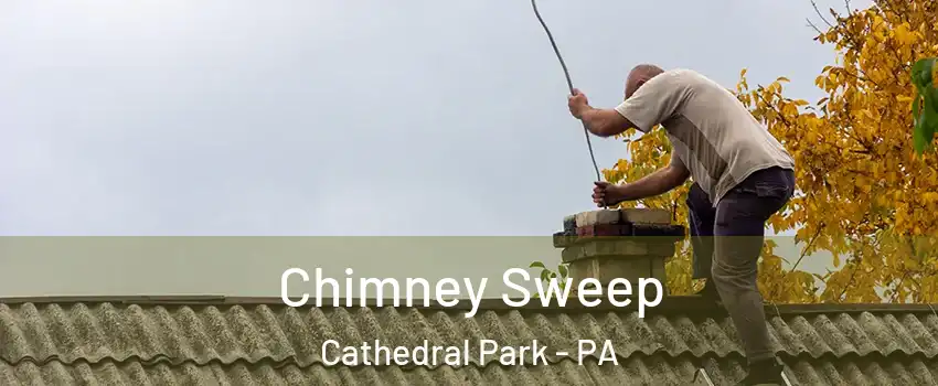 Chimney Sweep Cathedral Park - PA