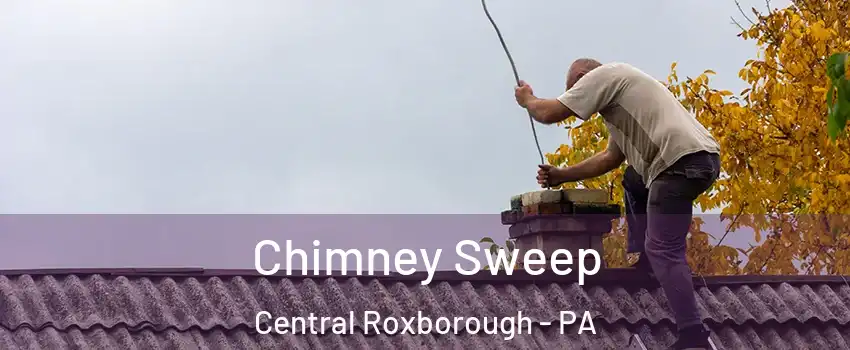 Chimney Sweep Central Roxborough - PA