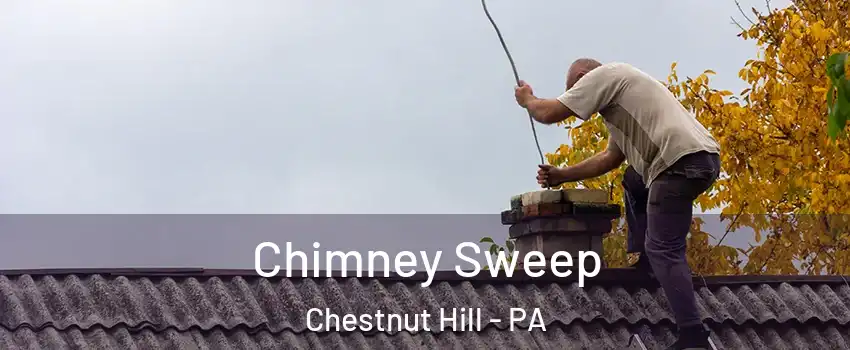 Chimney Sweep Chestnut Hill - PA
