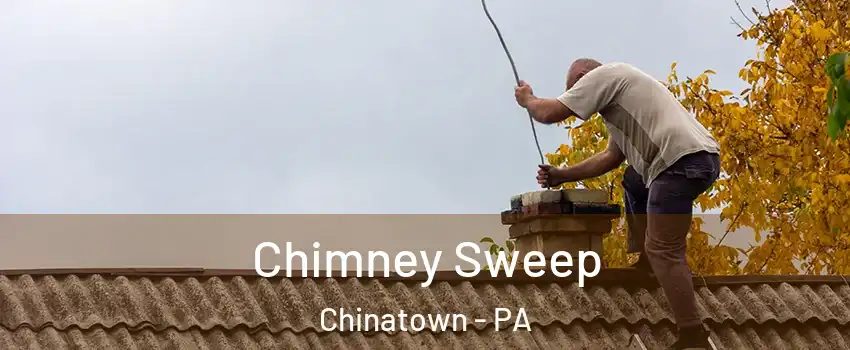 Chimney Sweep Chinatown - PA