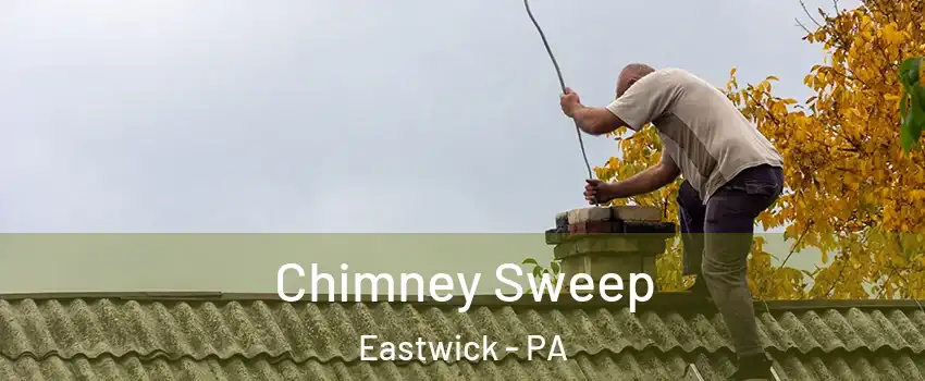 Chimney Sweep Eastwick - PA