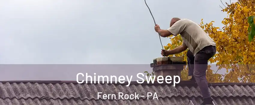 Chimney Sweep Fern Rock - PA