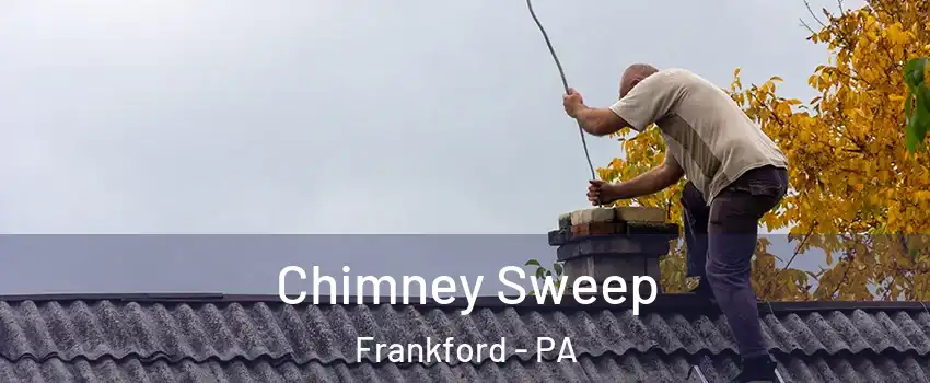 Chimney Sweep Frankford - PA